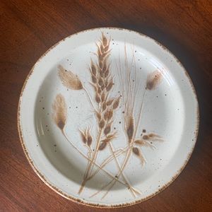 Wild Oats Stonehenge “Midwinter” pattern. Set/2 bread/butter plates. Vintage!❣️